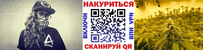 Купить наркотик Кингисепп Конопля  Мефедрон 