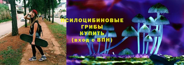 мяу мяу кристалл Няндома