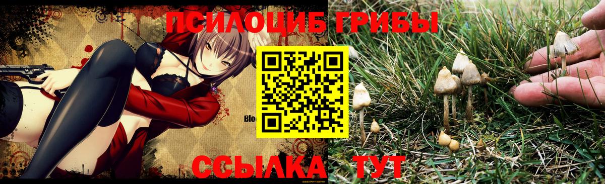 Псилоцибиновые грибы MAGIC MUSHROOMS  Кингисепп 