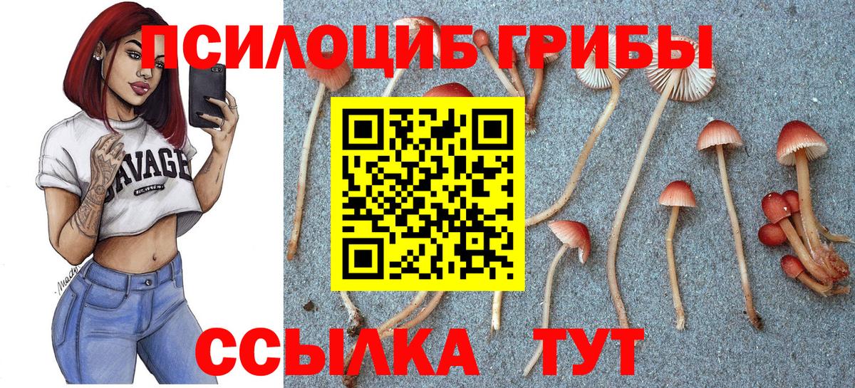 Псилоцибиновые грибы ЛСД  Вход с VPN  Кингисепп 