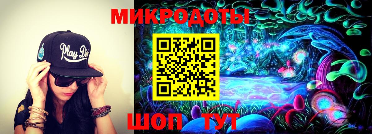 Галлюциногенные грибы Psilocybe Кингисепп